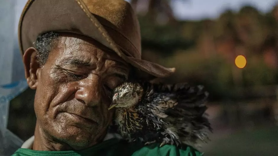 National Geographic 2025 жылдың үздік суреттерін таңдады