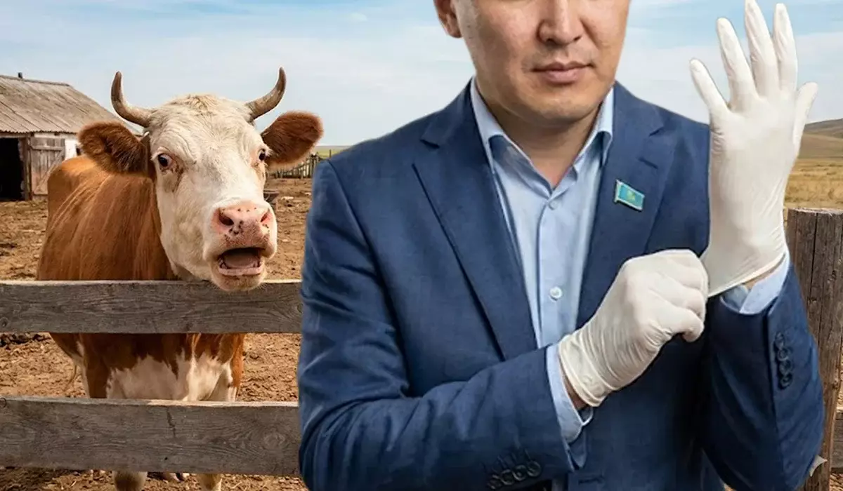 Депутат төрт түліктің аналығын асырау үшін рұқсат енгізуді ұсынды