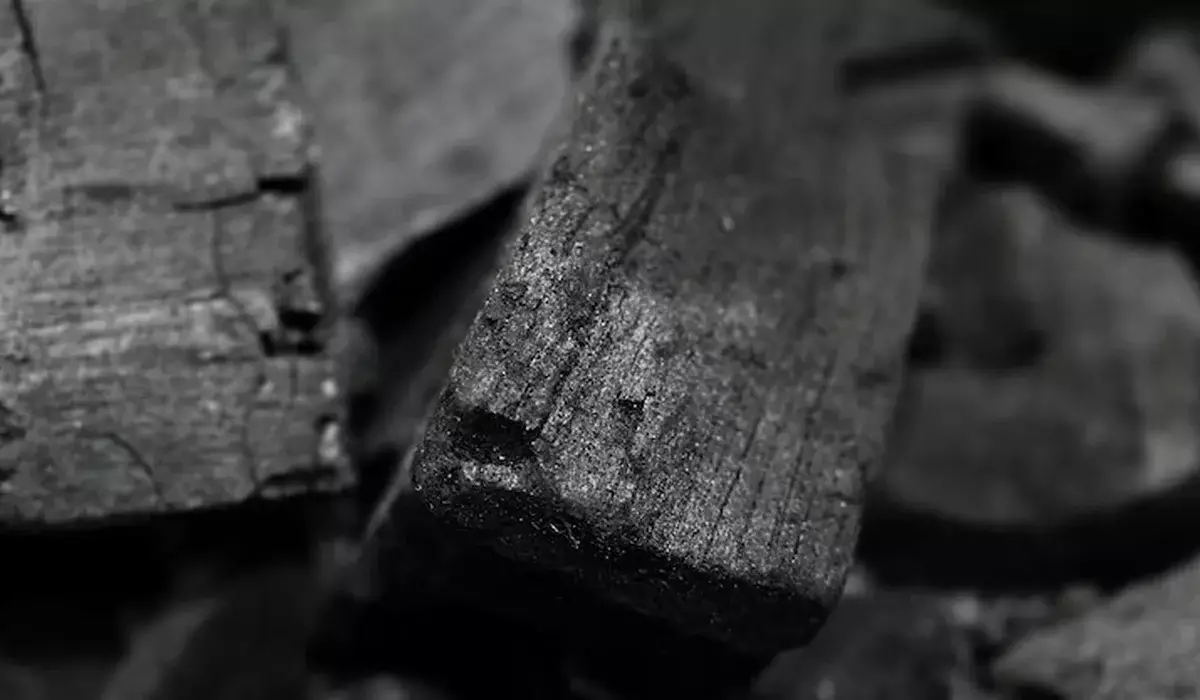 «Әбден созылып кетті»: президент «таза көмір» технологиясына тезірек көшуді тапсырды