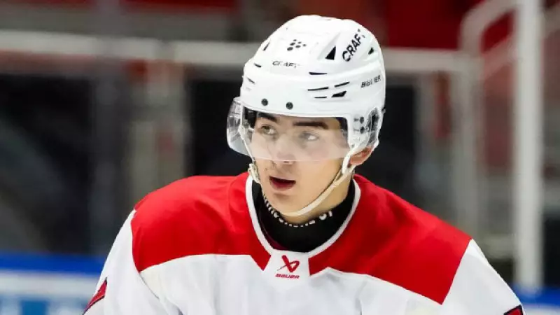 Қазақстандық хоккейші Финляндияның Лиига тарихына енді