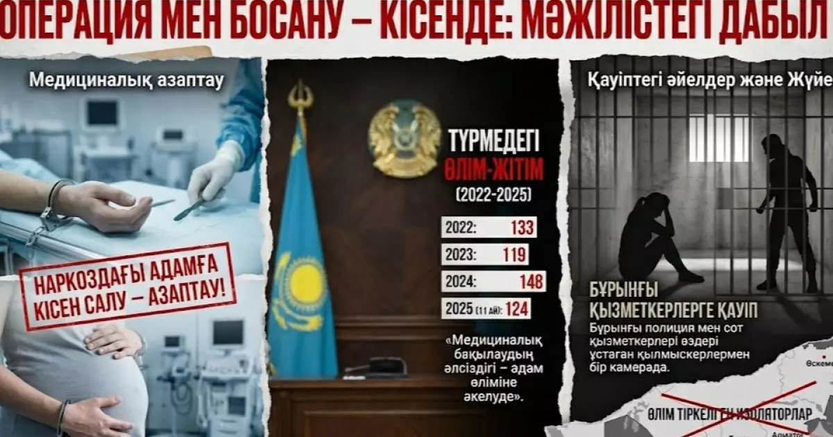  Ота жасалатын адамды кісендеп қояды екен. Депутат қылмыстық-атқару жүйесіндегі масқараға назар аударды 