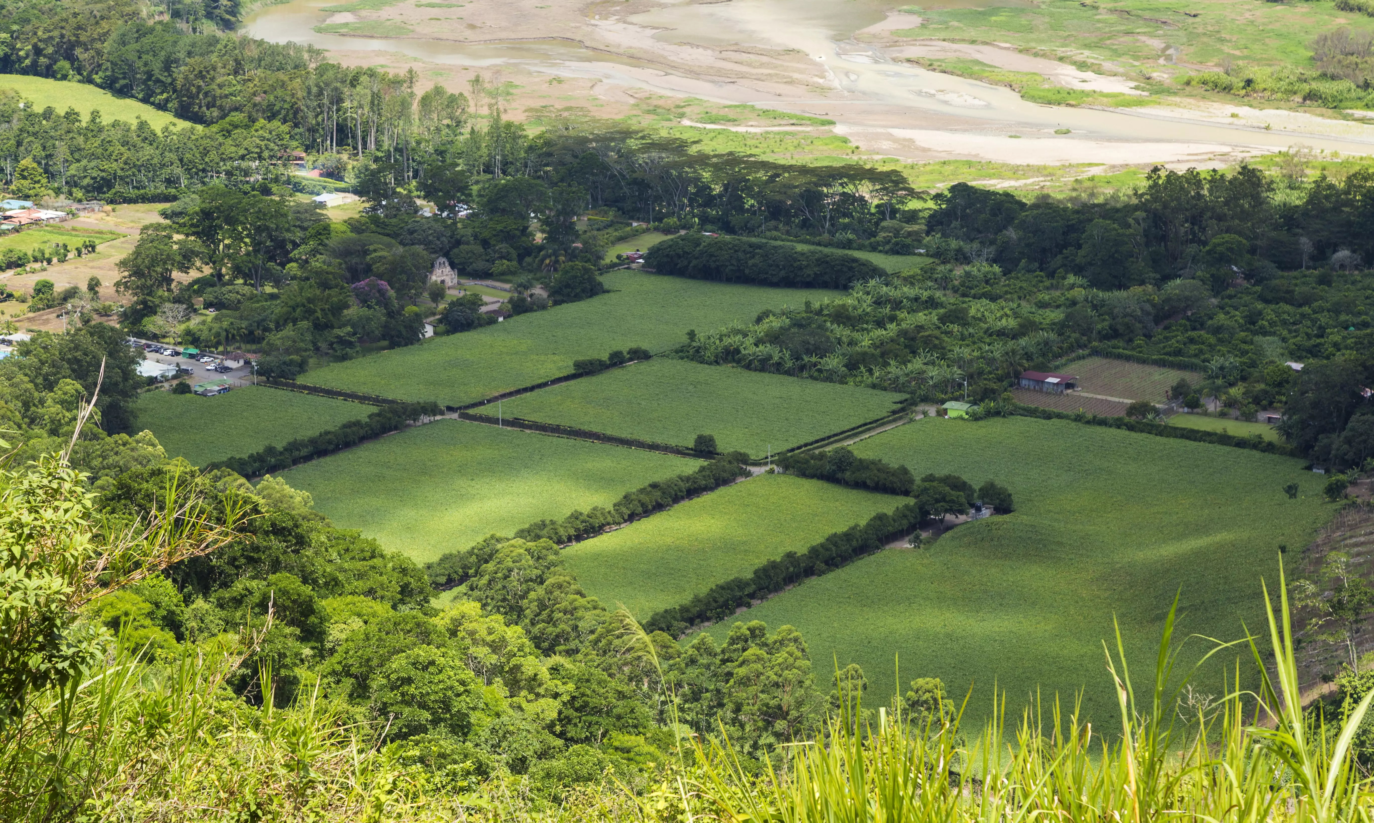 10 участков лесного фонда вернули в госсобственность в Акмолинской области