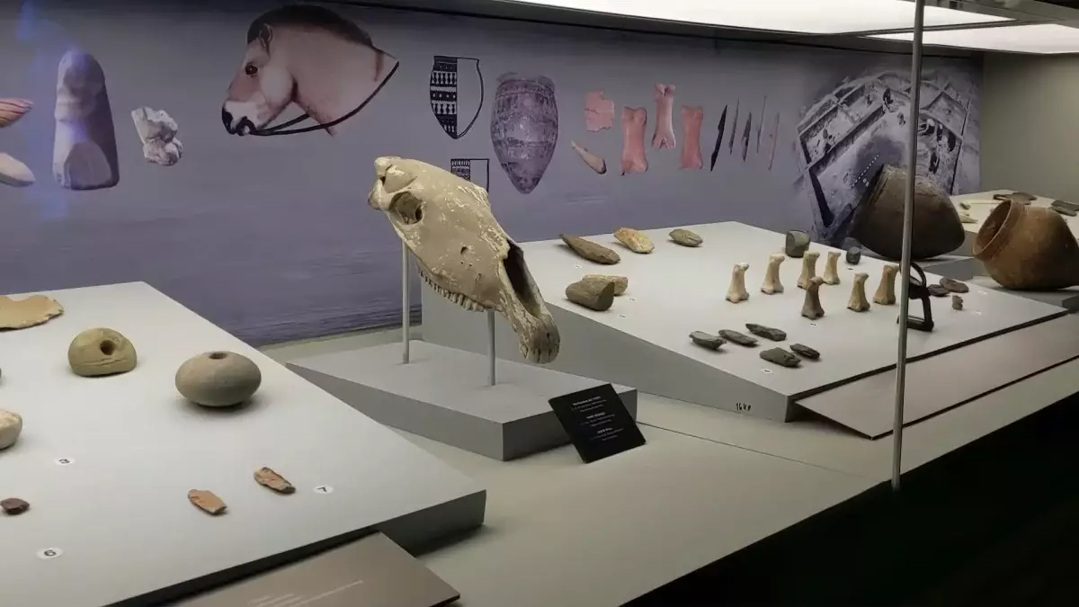 Үкімет елдегі музейлерде қауіпсіздікті күшейтпек