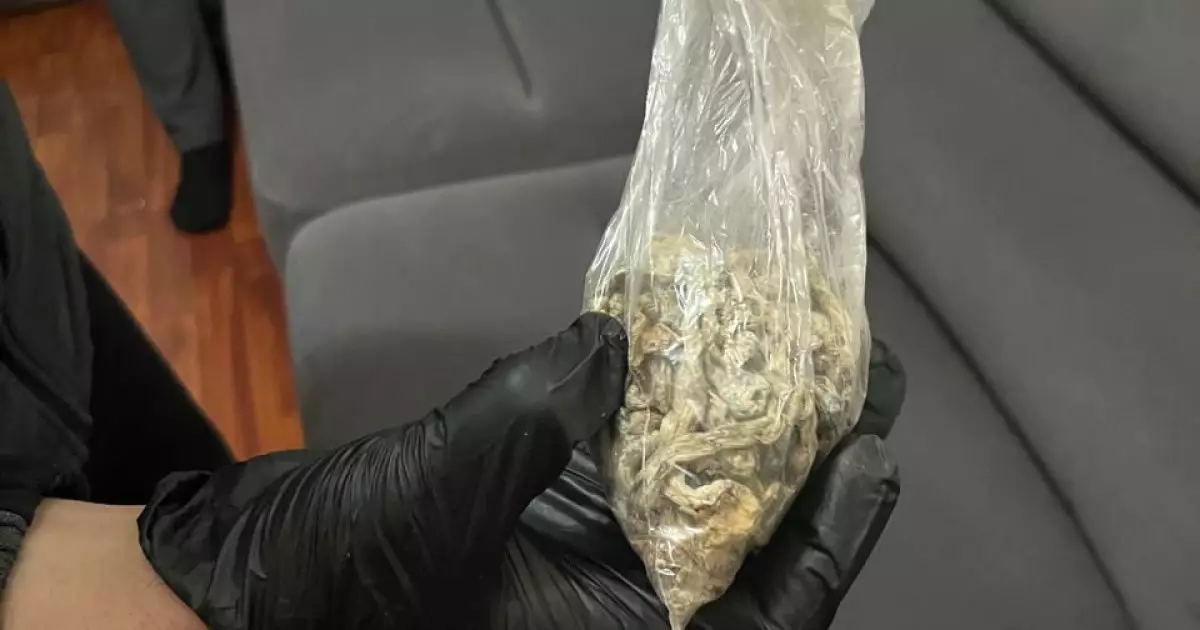   «Telegram арқылы жұмыс істеген»: қолында психотроптық заты бар ер адам ұсталды   