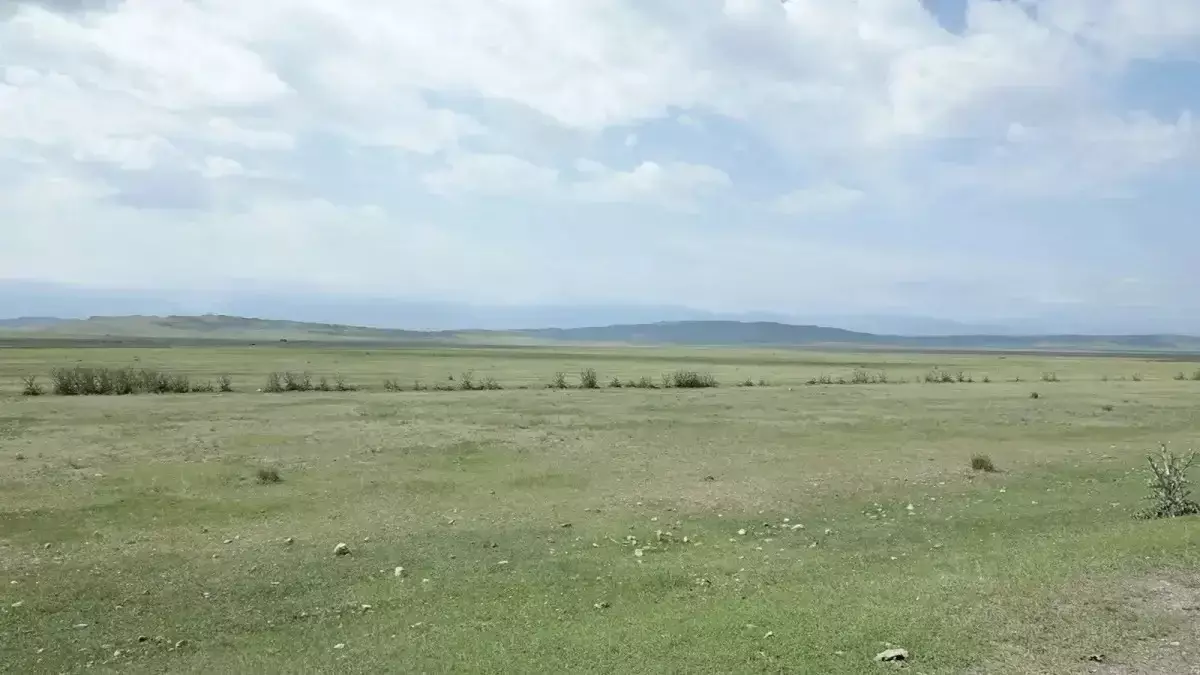 Павлодар облысында құны 101 млн теңге болатын мүлік мемлекетке қайтарылды