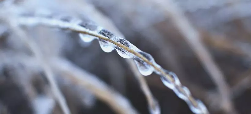 Осадки в виде дождя и снега, гололед, метель: какой будет погода по Казахстану в ближайшие три дня