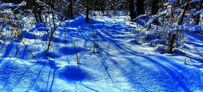 Штормовое предупреждение объявили в ряде областей Казахстана