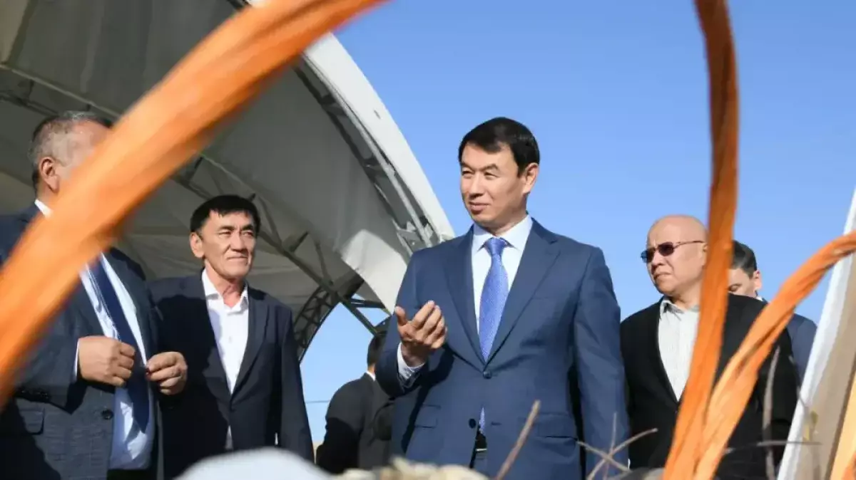 Сатыбалды исключил участие компании своих братьев SatNS в застройке Алматы