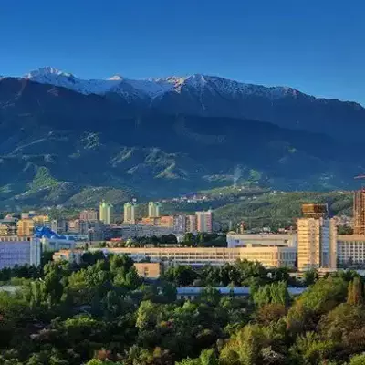 В Алматы до 2030 года планируется высадить еще 1,3 млн деревьев и кустарников