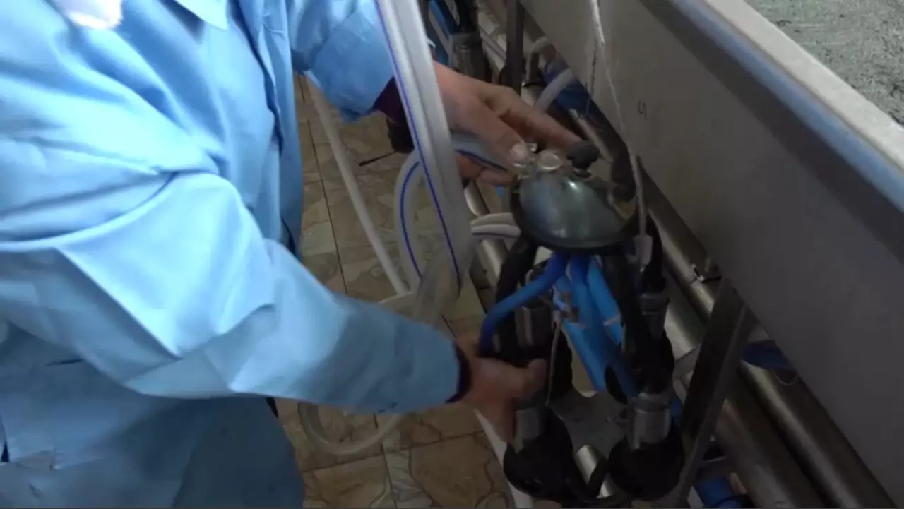 Еңбегімен еленген сауыншы