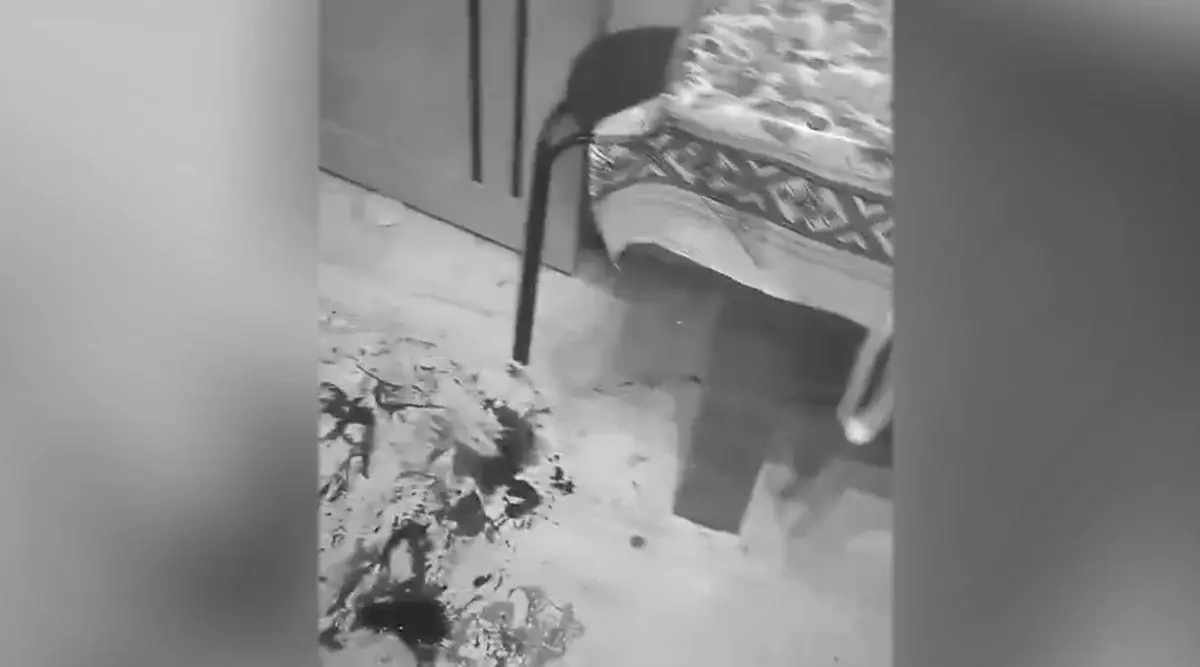 12 жерден пышақтаған: қоңырауына жауап бермеген анасының денесін ұлы пәтерінен тапқан