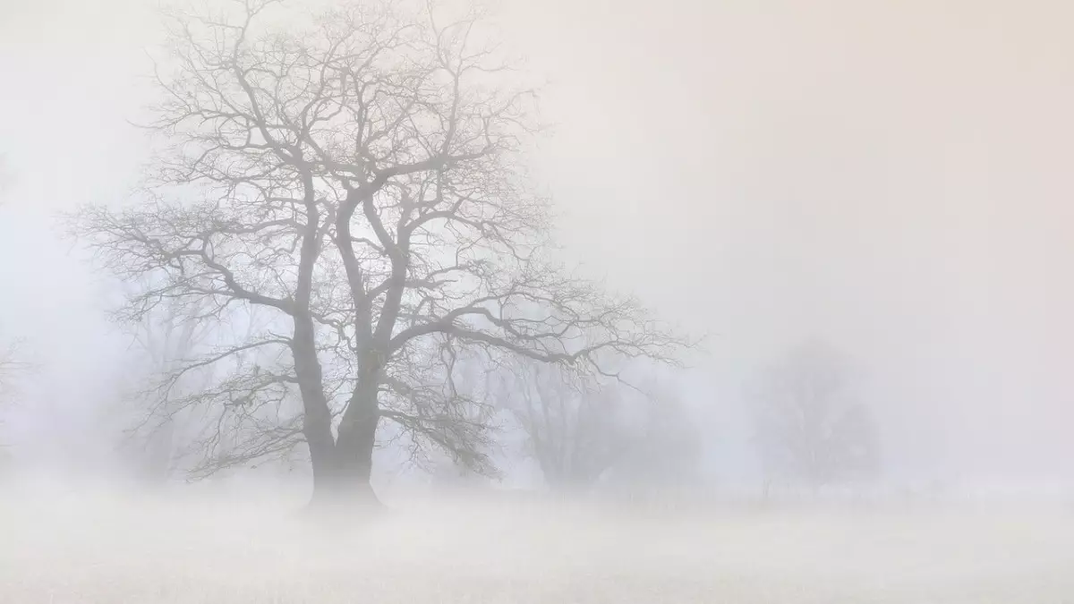 Қар және боран: бірқатар облыста дауылды ескерту жарияланды