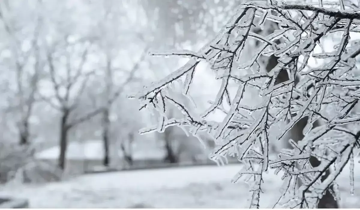 Еліміздің 14 өңірінде дабылды ескерту жарияланды