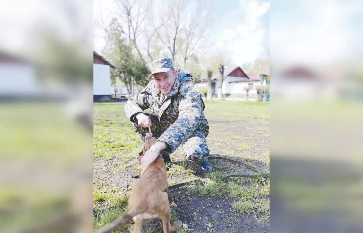 Офицерская честь Файласовых