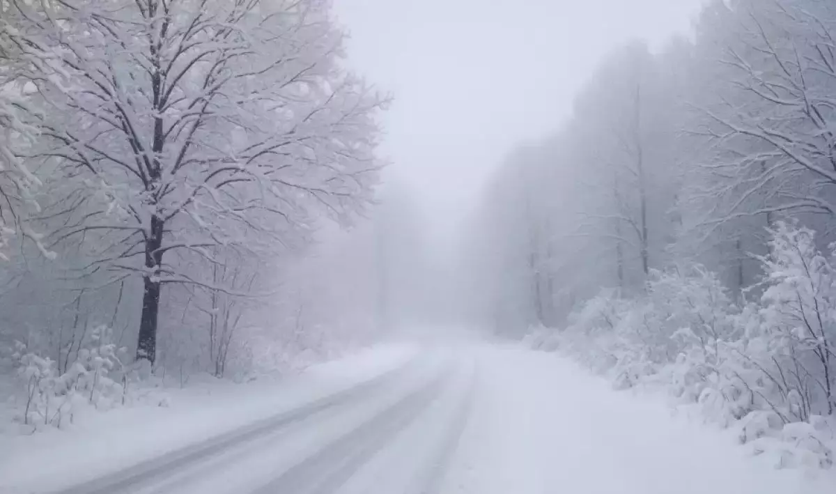 Тұман түсіп, көктайғақ болады - синоптиктер ескерту жасады
