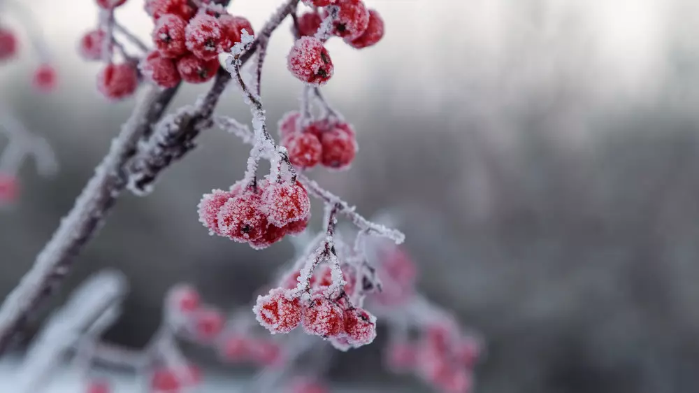 Местами морозы до −15 и снег. Прогноз погоды в Казахстане на четверг