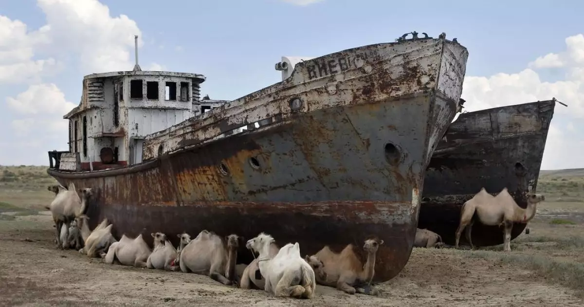   Теңізге тамшы керек...   