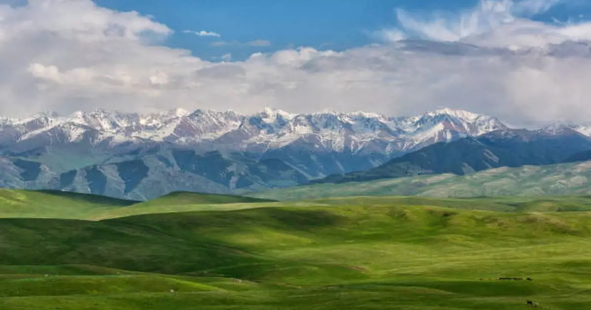  Павлодар облысында құны 100 млн теңгеден асатын жер учаскесі мемлекетке қайтарылды 