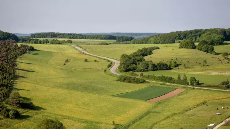 Алматы облысында 91 мың гектар жер мемлекет меншігіне қайтарылды