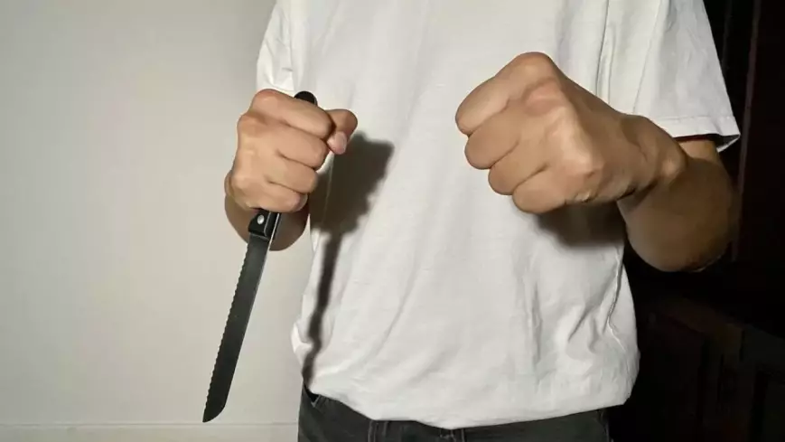 Жантүршігерлік оқиға: 9-сынып оқушысы 4-сынып оқушысын малша бауыздап тастады