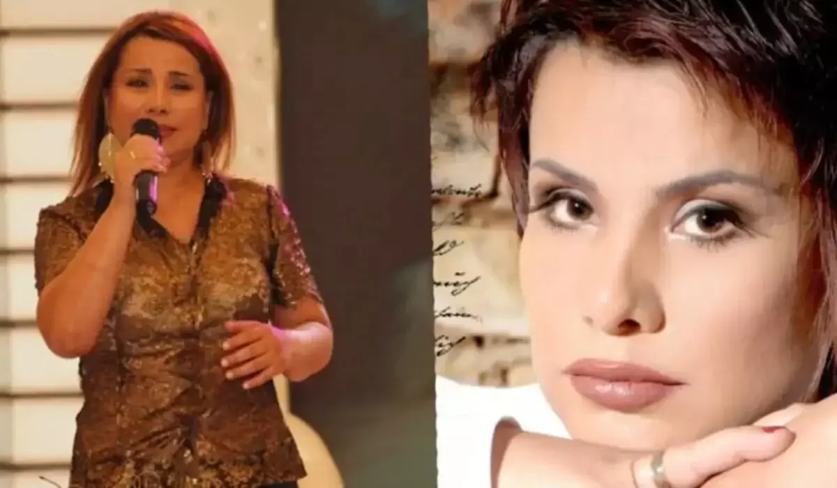 «Ажырасқан әйел дәретхана секілді»: танымал әнші ойын айтамын деп дауға қалды (ВИДЕО)