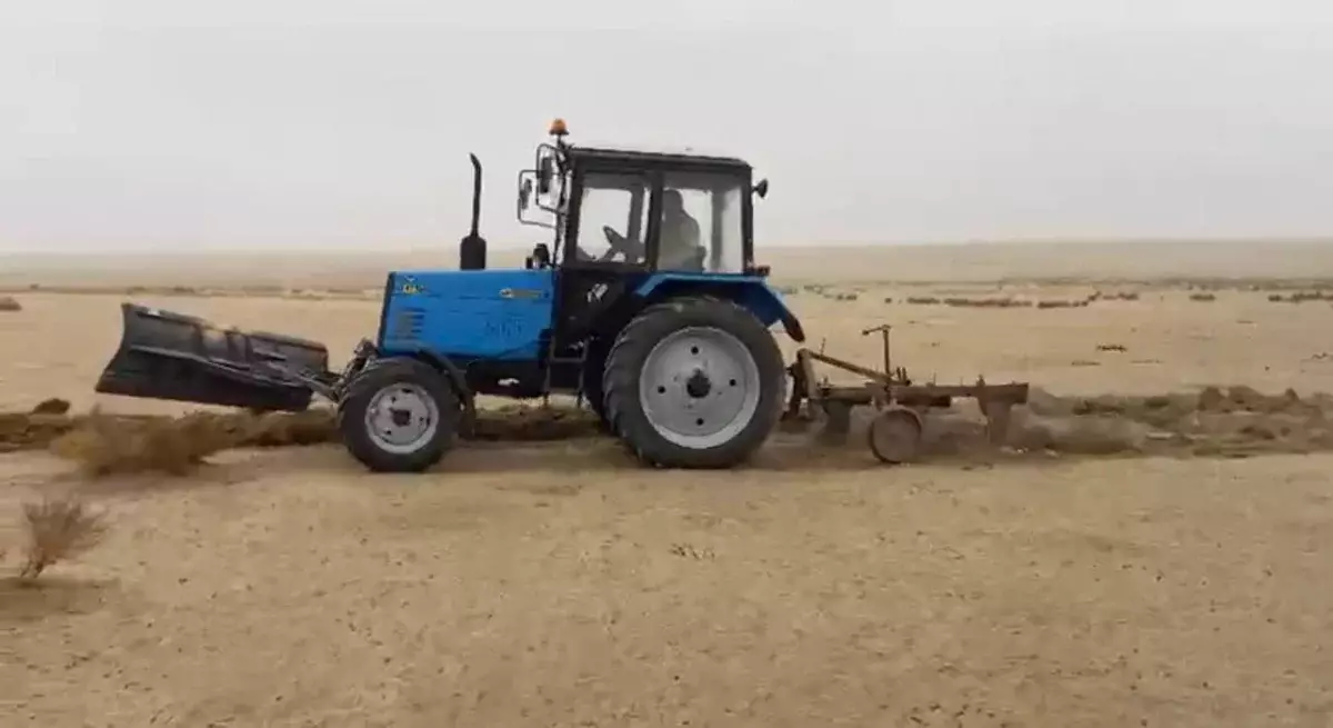 Түркістан облысында шегіртке зиянкесіне қарсы жер жырту жұмыстары басталды