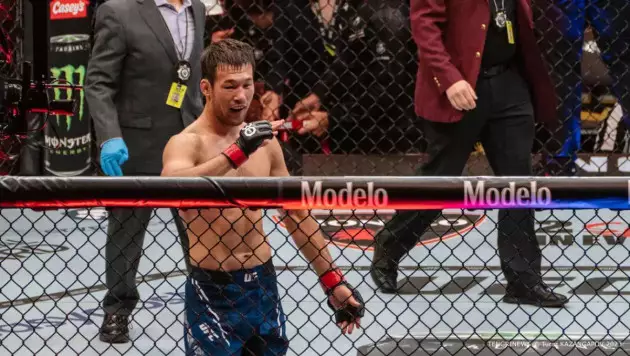 UFC файтері Шавкатты бірінші раундта талдыруға бәс тікті
