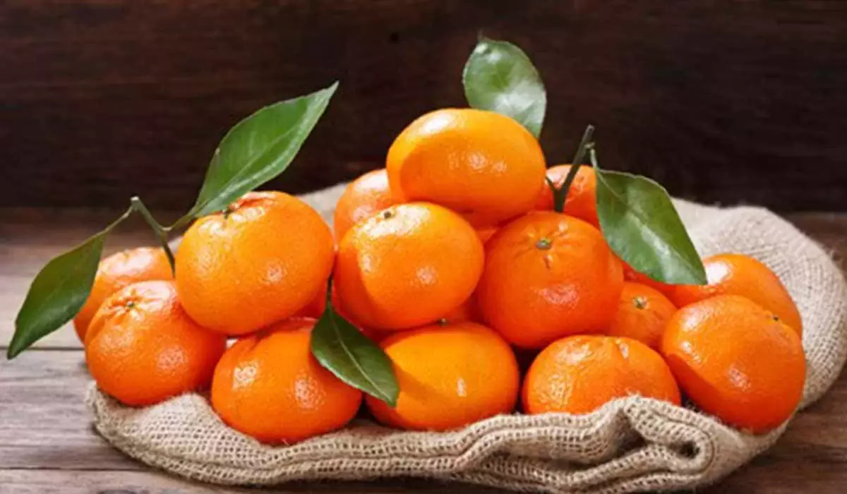 Запах Нового года из-за границы: откуда в Казахстан везут мандарины