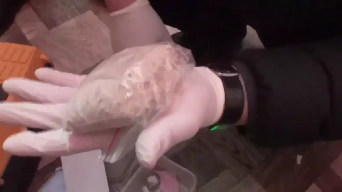 Есірткі саудасы: Павлодарда ер адам ұсталды