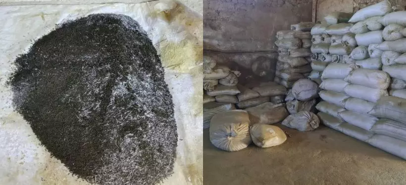 Полиция изъяла две тонны насвая в подпольном цехе в Туркестанской области