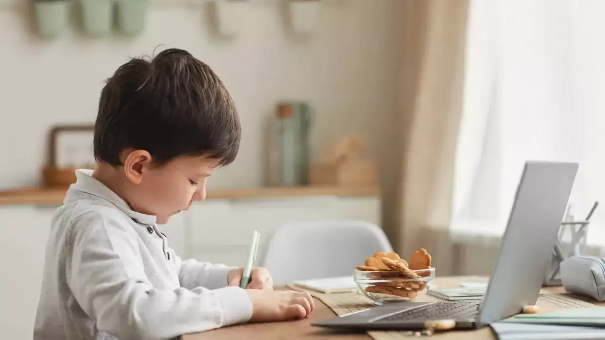 Қашықтан оқыту салдарынан өткізіліп алған сабақтар өтеледі – Оқу-ағарту министрлігі