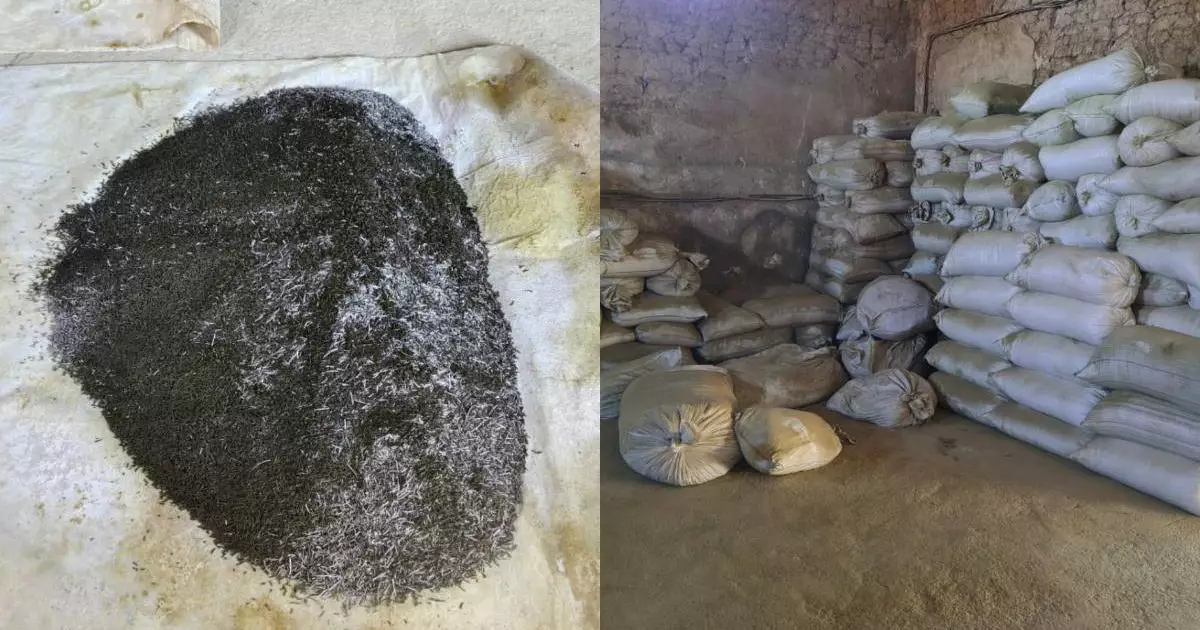  Түркістан облысында насыбай өндіретін заңсыз цех анықталды 