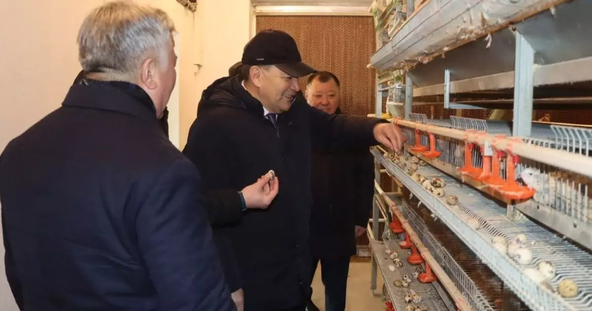  Үкімет басшысының кеңесшісі Қызылорда облысындағы Бесарық ауылының берекелі тіршілігімен танысты 