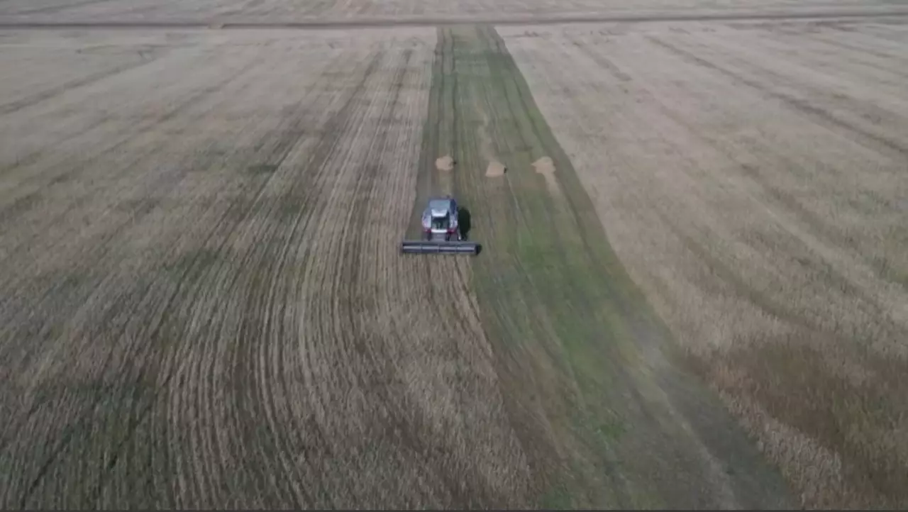 «ҚазАгроҚаржы» АҚ жылды қорытындылады