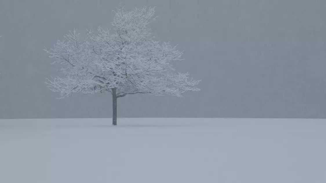 Елімізде 19 желтоқсанда қар жауып, боран соғады