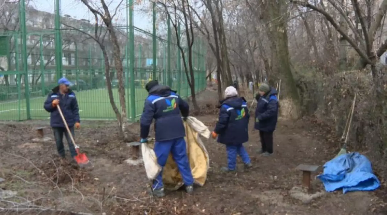 Эковолонтёры убрали 48 тонн мусора в Шымкенте