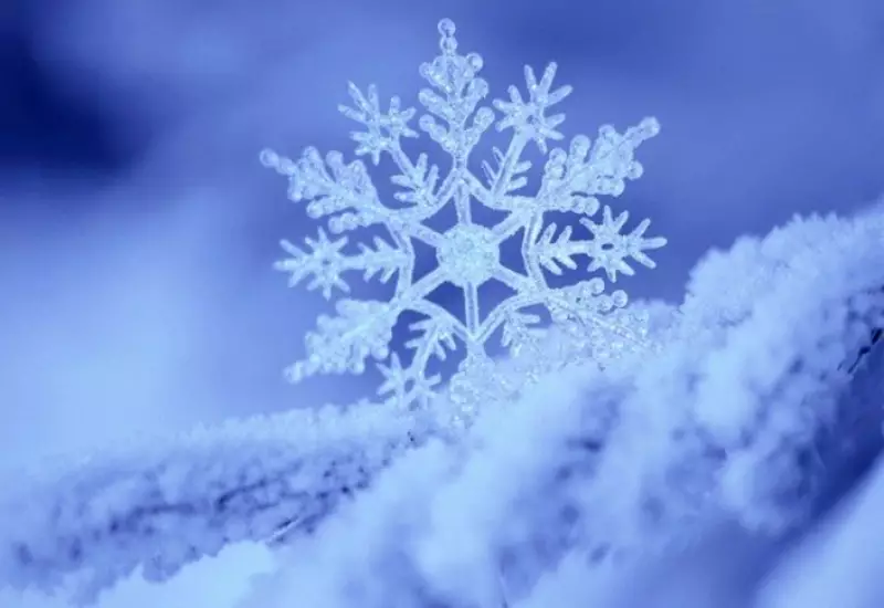 В Казахстане ожидаются снег и метели