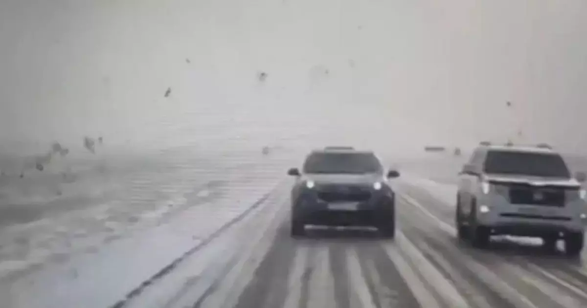  Жабық жолға шыққандар жауапқа тартылып жатыр 