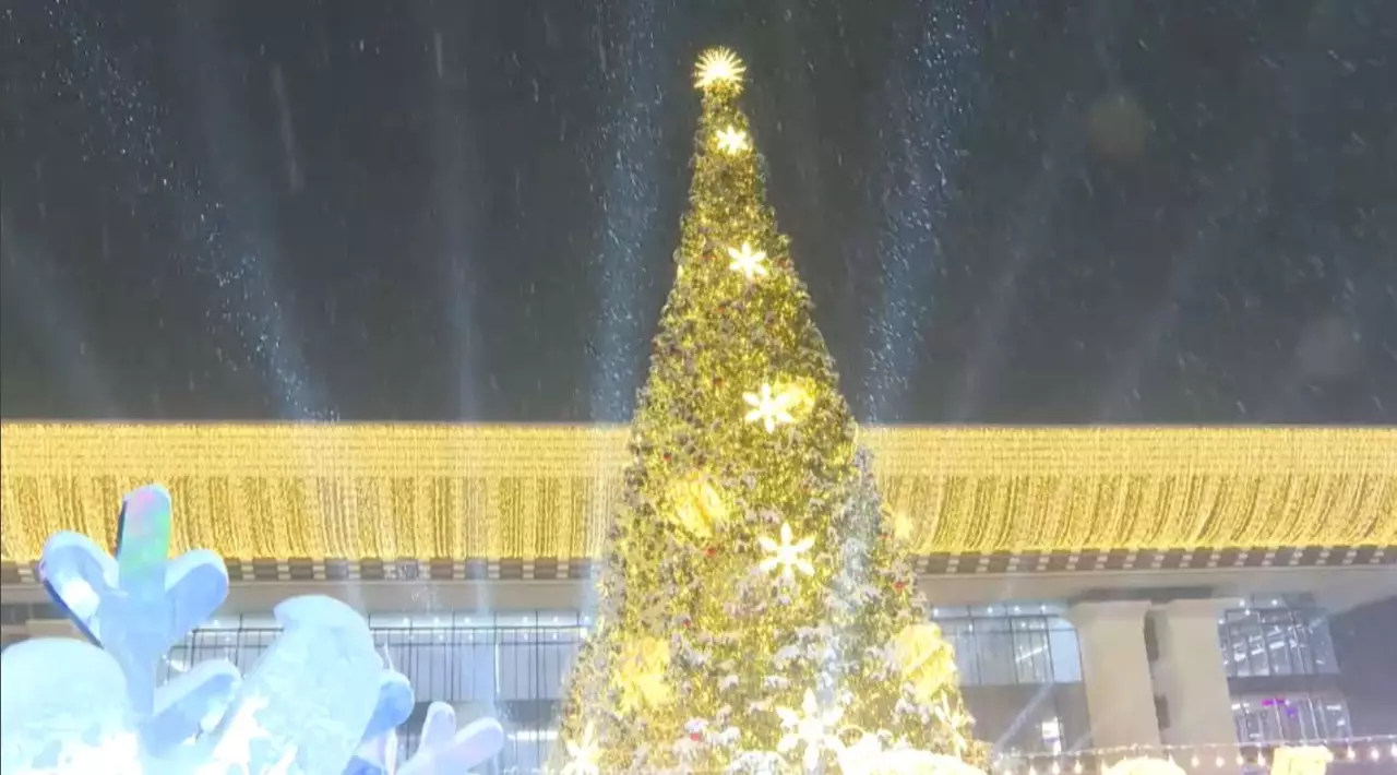 Алматыда жаңа жылдық шырша шамы жағылды