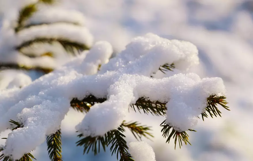 Снег с метелью ожидается в пятницу на большей части Казахстана