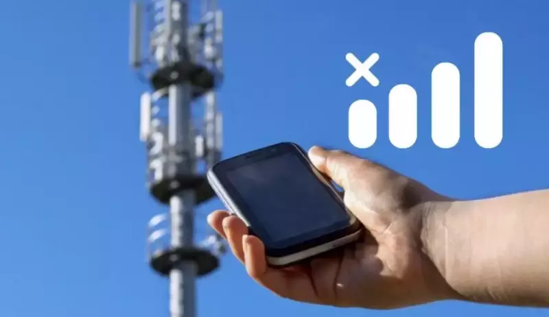 “Будем говорить, что у нас лучше”: Саткалиев об интернете в Токио