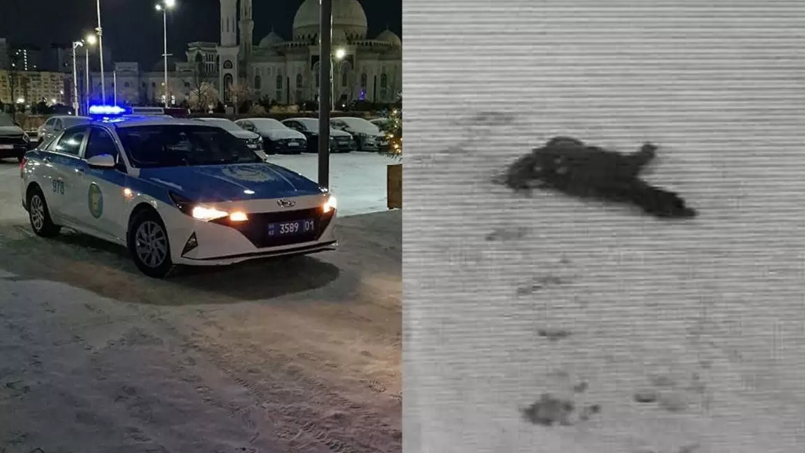 Астанада тұрғын үйлердің бірінен екі адам секіріп, қаза тапты