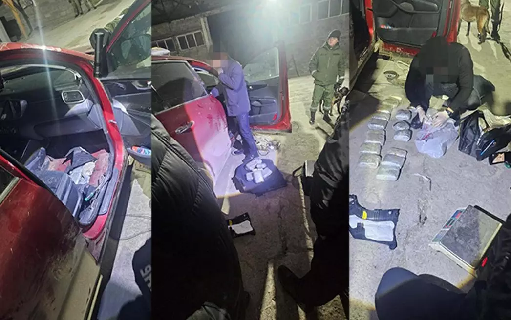 Ввоз крупной партии наркотиков пресекли на границе в Жамбылской области