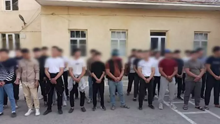 В Самаркандской области накрыли подпольный бойцовский клуб