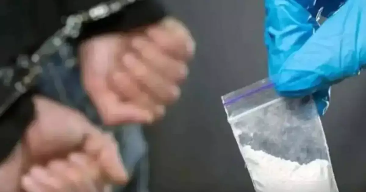  30 келі есірткі алып өтпек болған шетелдік ұсталды 