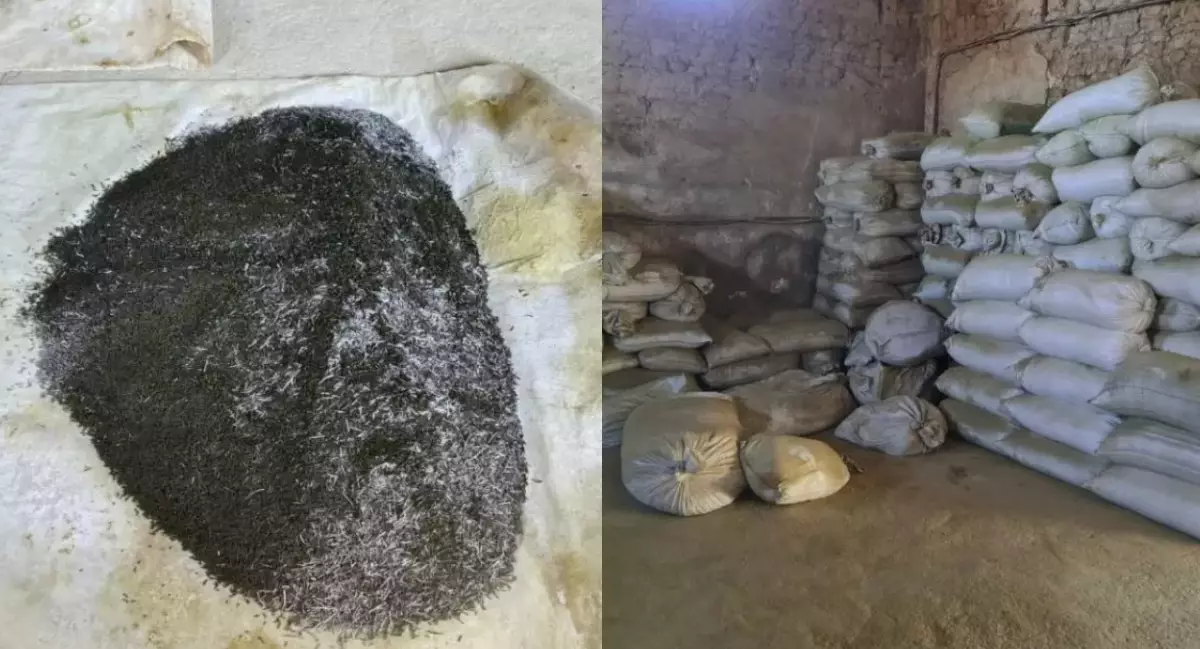 Түркістан облысында насыбай өндіретін жасырын цех анықталды