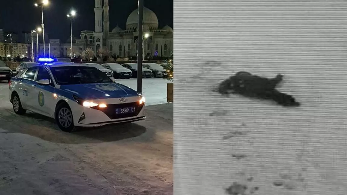 Астанада көпқабатты тұрғын үй маңынан екі адамның денесі табылды: полиция түсініктеме берді