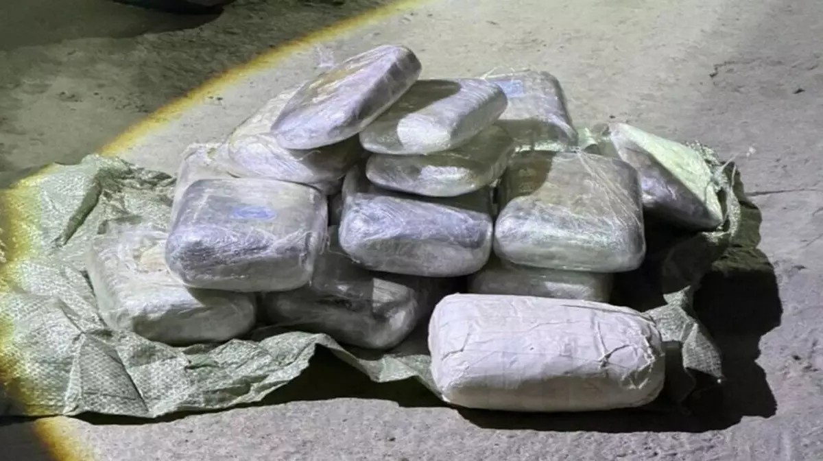 В Жамбылской области задержали иностранца с 30 кг наркотиков