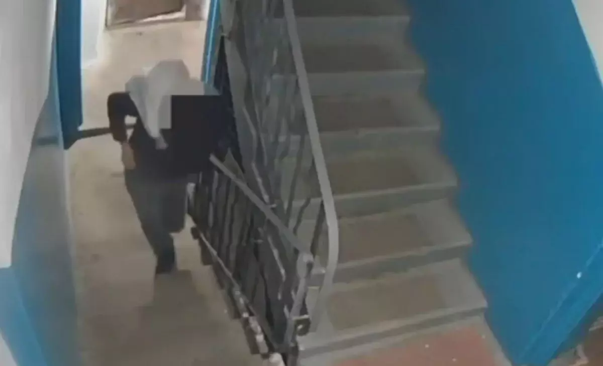 Павлодарда ер адам көшеде азық-түлік сатып тұрған көлікке ұрлыққа түскен: оқиғаның видеосы тарады