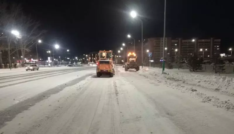 Экологи рассказали, как снег с солью разрушают почву и деревья в ВКО